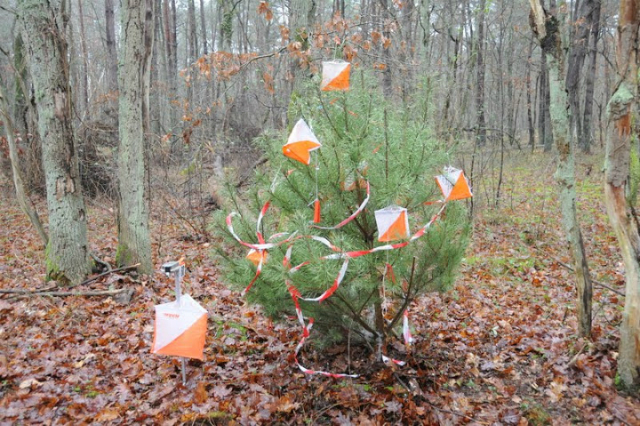 20130113 - La 77 Sapin
